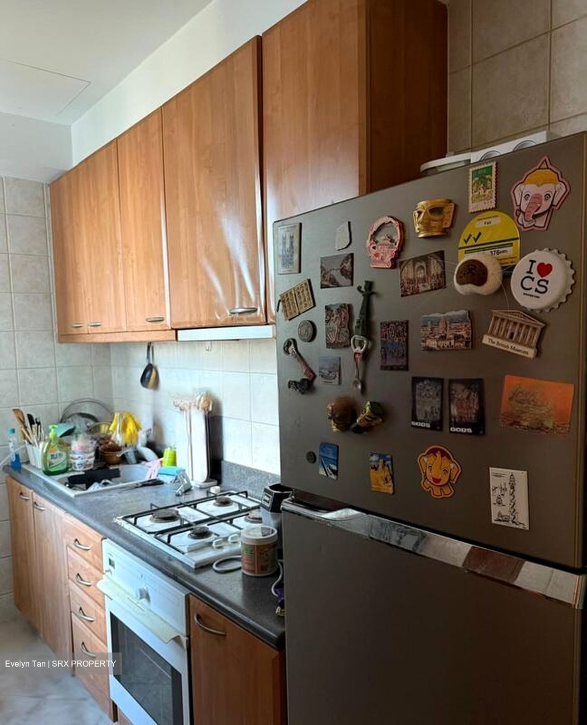 Trellis Towers (D12), Condominium #467343561